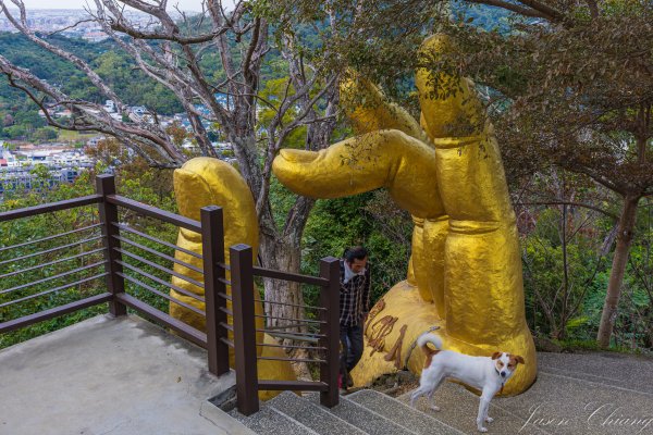 [台中]南觀音山2688185