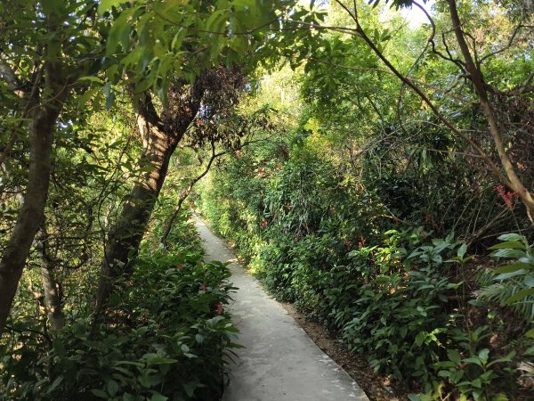 [百山百鳥尋旅-14/15] 2025_0929 劍潭山親山步道2900888