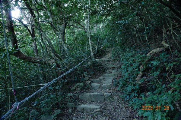 屏東 獅子鄉 里龍山(里隆山、里瀧山、鯉龍山)、下里龍山2018532