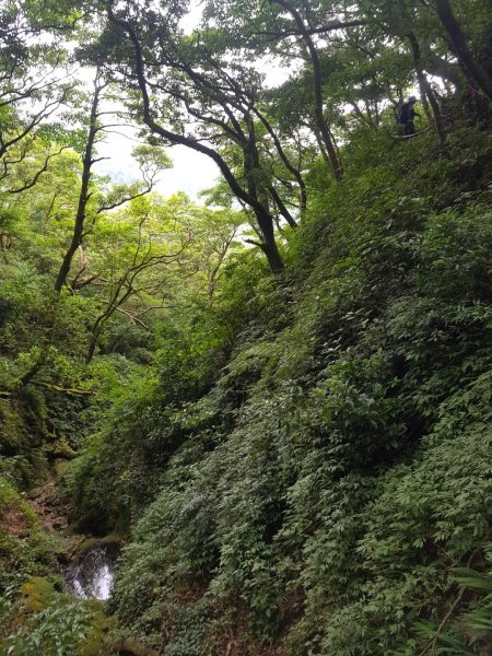 小觀音山O型（台北抹茶山）1010049