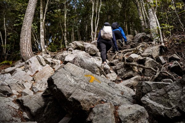 鳶嘴稍來山｜鳶嘴山稍來山O型縱走2987978