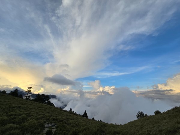 志佳陽大山（回程走高繞環山獵人登山步道）2542210