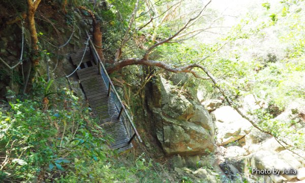 恆春半島第一高峰-里龍山(竹坑登山口入)878677