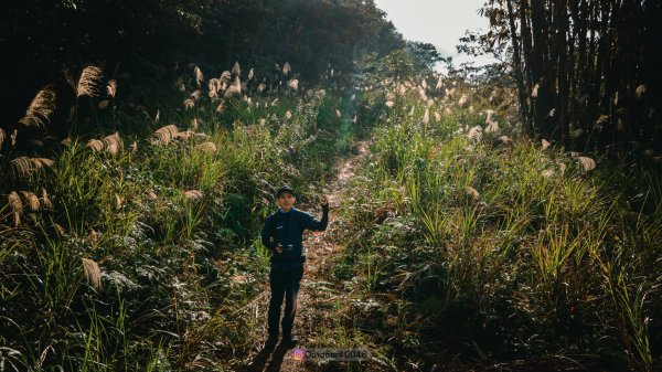 蜈蚣崙上舊武界越山2418461