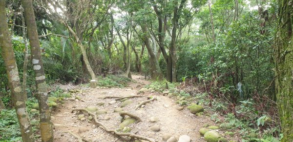 飛鳳山 觀日坪古道1752060