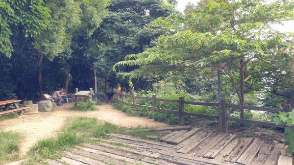 收集小百岳－台中太平三汀山1444039