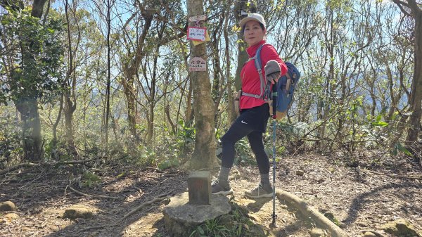 2025貓空樟樹步道花海搶先看，展期：1月18-2月9日，喜歡小冒險可以挑戰攀爬路線猴山岳。2691449