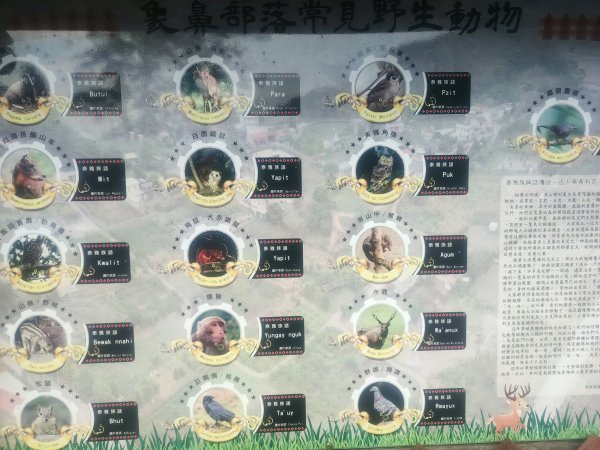 象鼻古道2656956