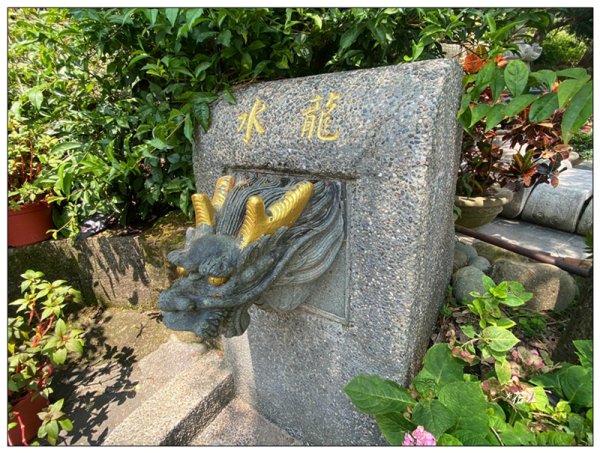 太興岩步道、萬鷺朝鳳、巧雲小棧 (嘉義 梅山)2886396