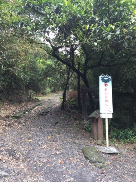 淡蘭古道-燦光寮古道沿著雙蕨葉指標而行485331