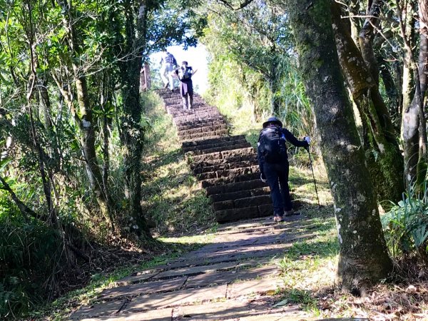 桃源谷山海遊蹤516939