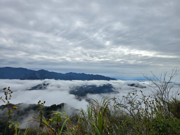 馬那邦山之雲海／雲瀑／楓紅／太陽琉璃光2676353
