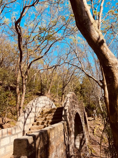 拱北殿賞楓🍁雙湖縱走賞落羽松2686659