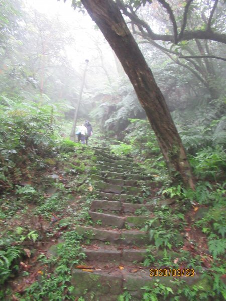 汐止大尖山908475