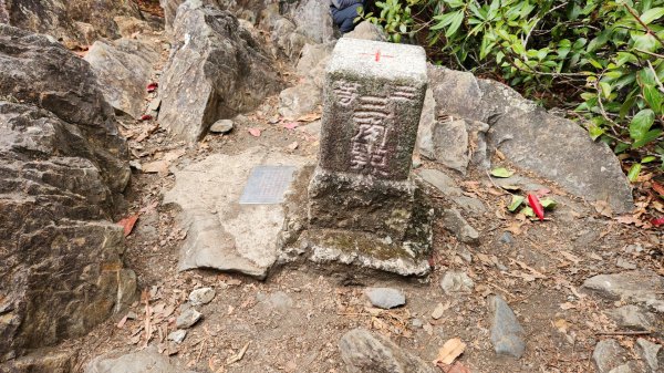 波津加山，太平蝙蝠洞延伸步道，福田賞桐生態步道，美崙山步道，台東鯉魚山2005057