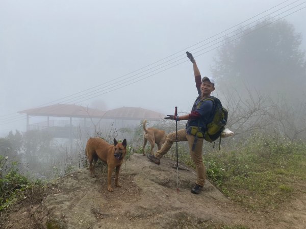 馬那邦山.細道邦山【你 不能預判山的變幻莫測】2401527