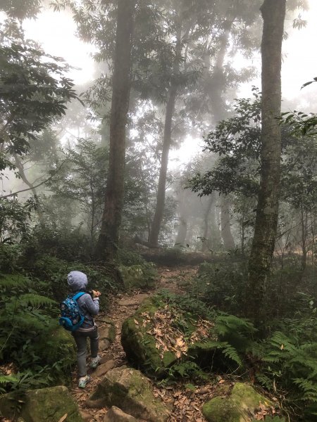 20211212小百岳苗栗鵝公髻山2209923