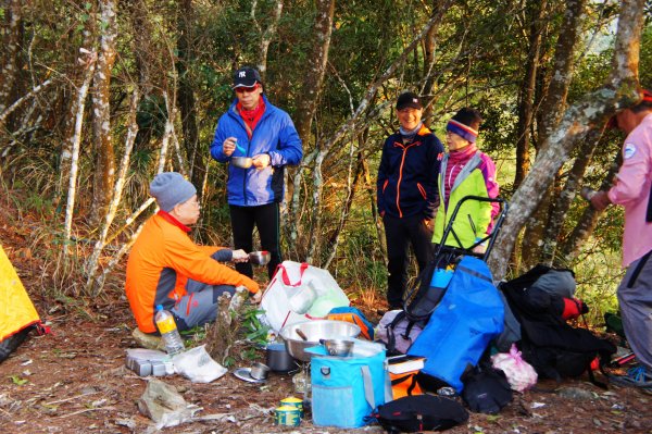 八仙山+佳保台山 ~ 挑戰雄關 辛辣凝香918469