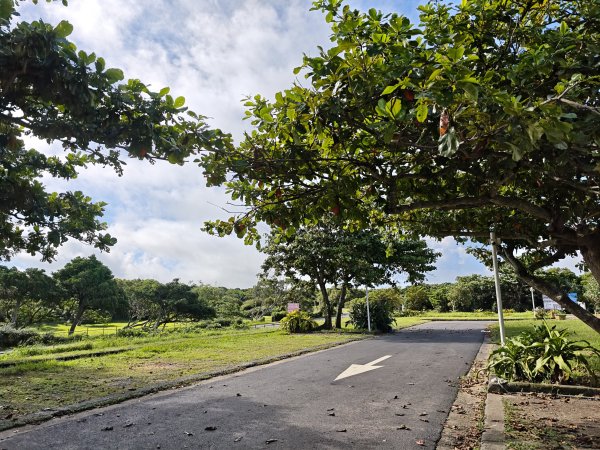 [百山百鳥尋旅-02/15] 2025_0809 社頂自然公園步道2856877