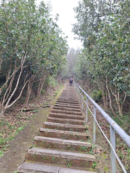 劍潭古道202503122734293