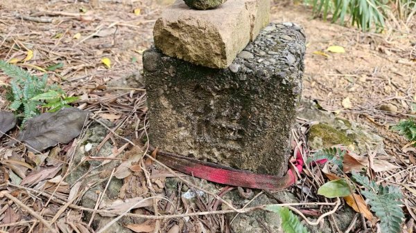 20260127流水蓮華-飛沙縱走-坑尾山南稜2992544