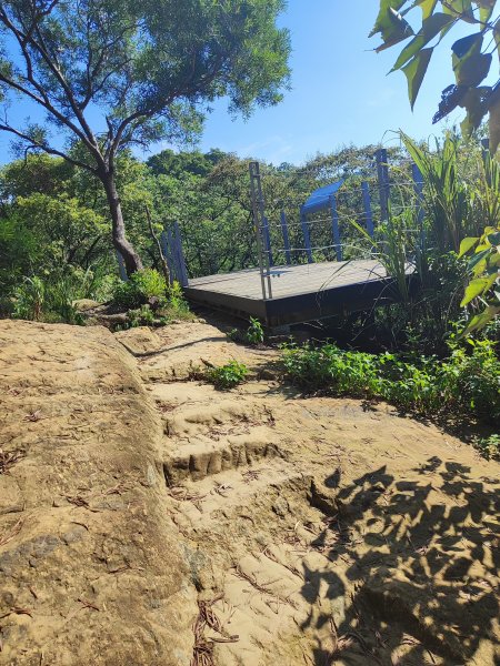 微笑山線：【大棟山系】百年大榕樹段2868477