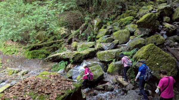 鎮西堡巨木步道群 (B區)2861206