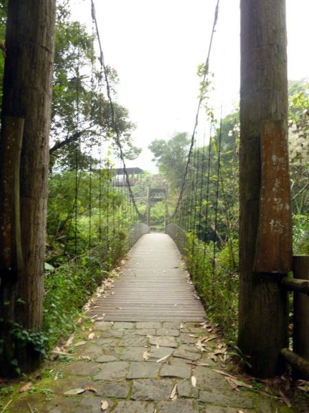 阿里山迷糊步道102423