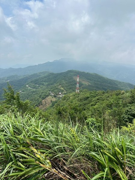 烏窟子山、獵貍尖山、黃櫸皮寮山、翡翠之眼O走2809865