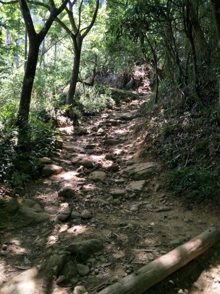小百岳:台南大凍山 台南百大步道1384176