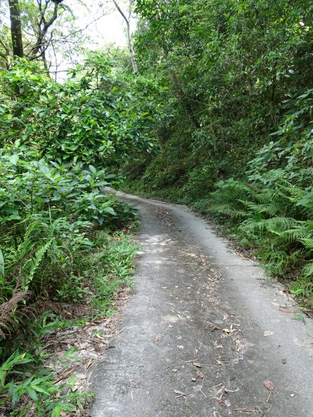 台灣小百岳第69座高雄甲仙白雲山之三角點993559