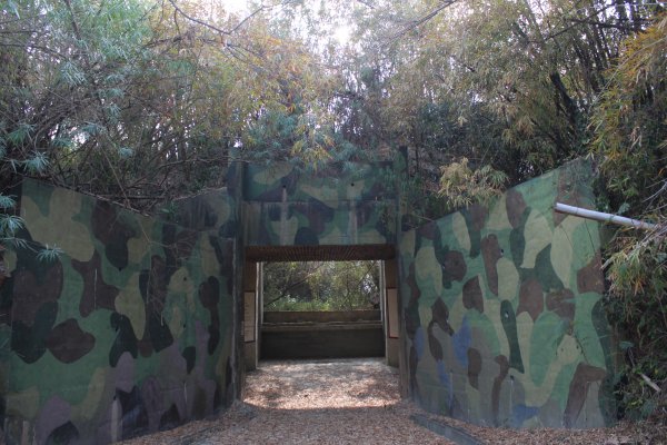 20180217漯底山自然公園步道817676