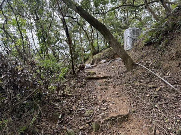 [微笑山線_第四段] 2026_0321 天上山系_石門內尖山東峰3021323