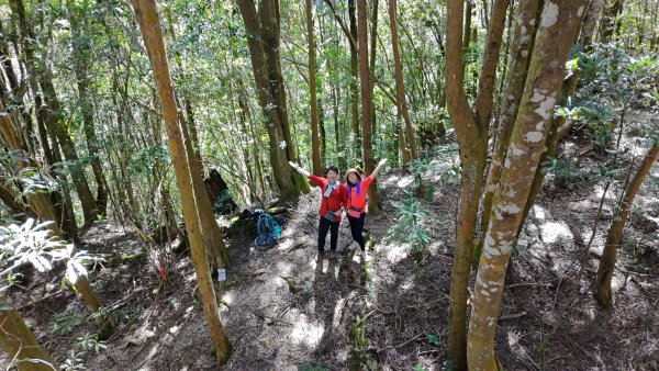 水漾森林、鹿屈山、眠月神木2729637