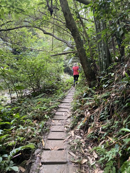 20250706-EP.08四寮溪生態步道-2025森遊竹縣皮皮獅探險隊2851853