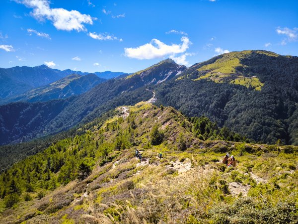 2025-11-07 合歡北峰、小溪營地、鷹石尖、北峰名樹2934329