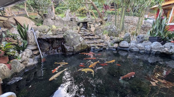 114.11.23龍泉山寺-成福山-十八羅漢岩-石門內尖山-石門內尖山東峰之旅2943722
