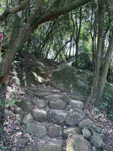 台北大縱走第四段2766842