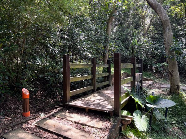 犁頭山、文山步道2835637