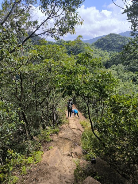 20251018微笑山線：【二格山系】皇帝殿稜線段2918636