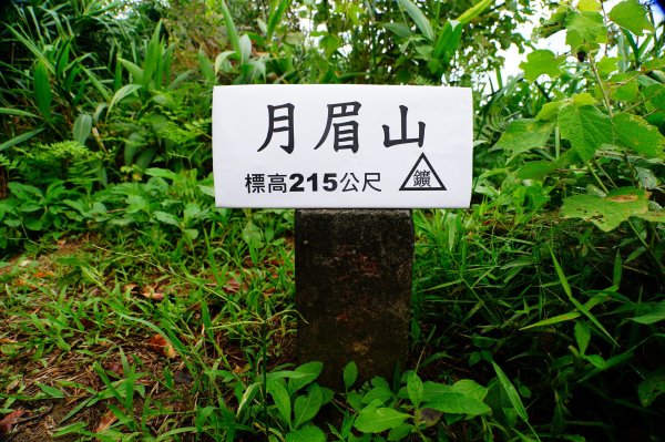 新北 基隆 大坑埔山、月眉山、長命山、大水堀山、金交椅山、紅淡山、鳥嘴山西峰3092650