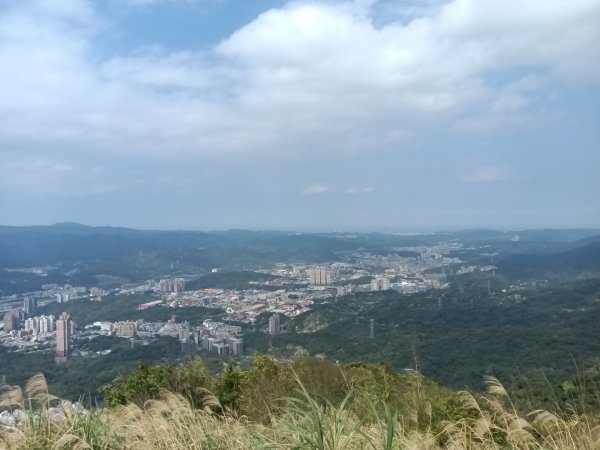 大尖山櫻花-龍船洞-秀峰瀑布2733740