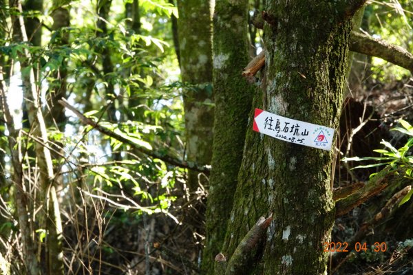 臺中 和平 烏石坑山1697236