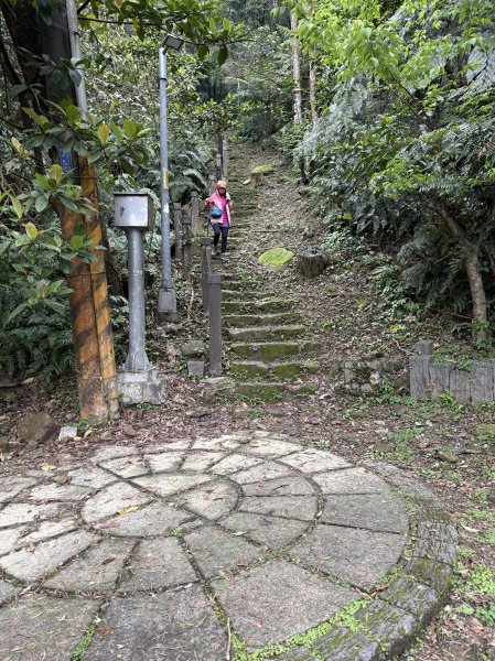 汐止大尖山-202503172770528