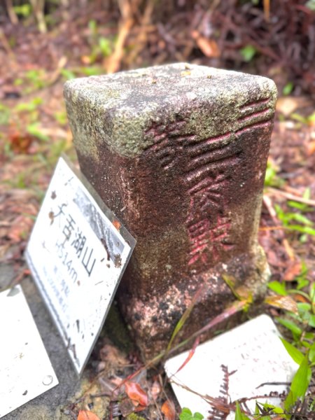 大舌湖山-漁光國小-茶園-虎寮潭吊橋2773008