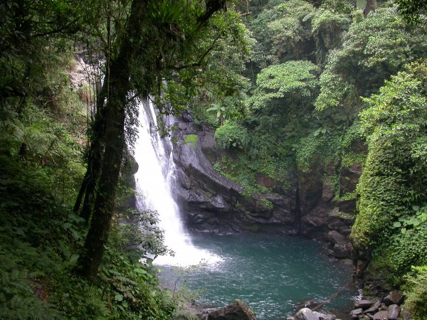 內洞森林遊樂區1966183