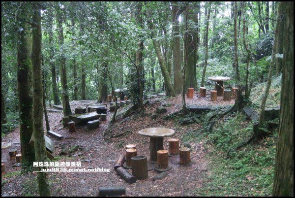 東眼山打卡新亮點森林裡的木構裝置藝術1021792