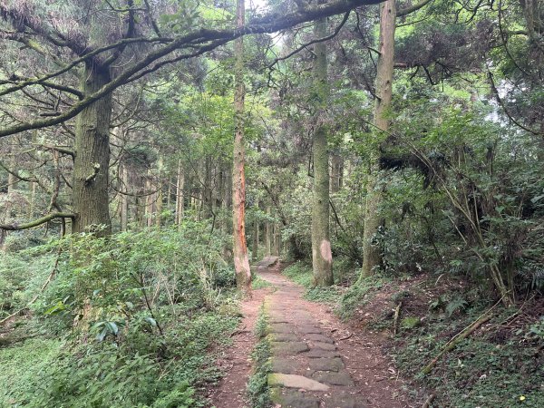 [走遍陽明山]2023_0723 頂山2319986