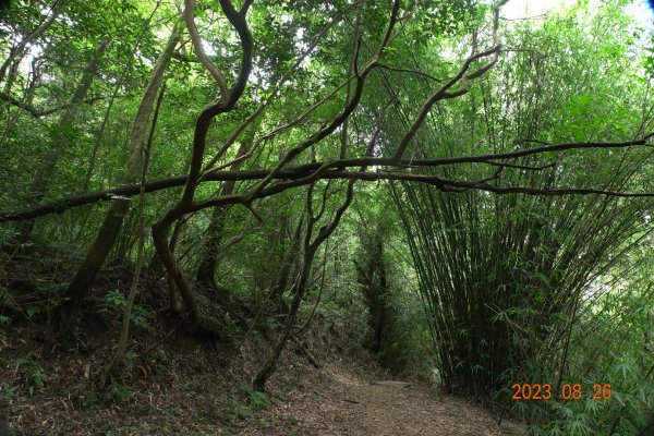 基隆 頂寮山、龍門山、五分山、頂子寮山2265976