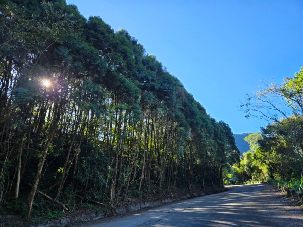雪山坑登山步道~巨人之手2948710